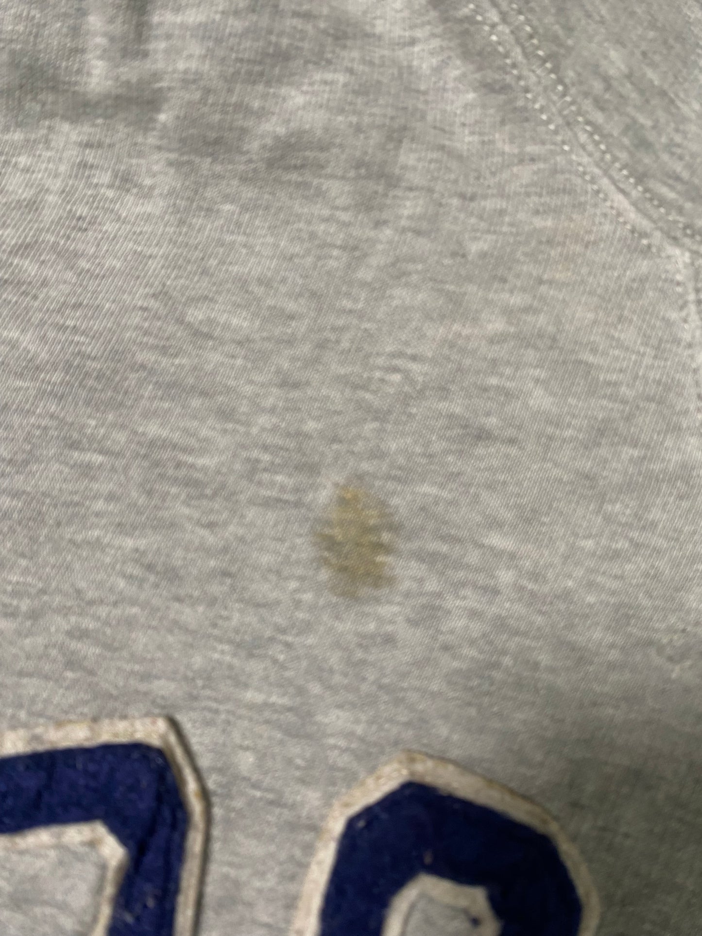 Ralph Lauren Polo Hoodie